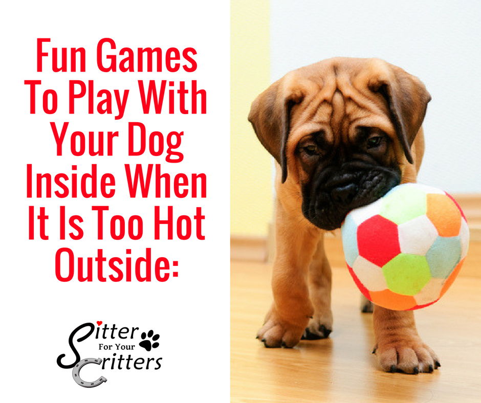 https://sitterforyourcritters.com/wp-content/uploads/2018/07/Games-To-Play-With-Dog-Inside.png